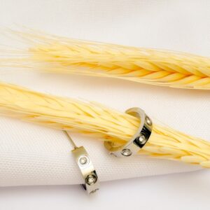 Brinco Argola Com Cristal Banho Branco