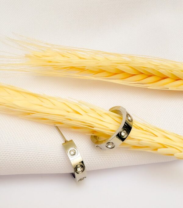 Brinco Argola Com Cristal Banho Branco