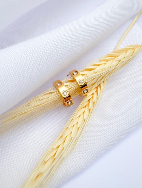 Brinco Argola com Cristal Banho Dourado